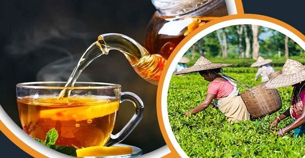 চায়ের রাজনীতি: উপনিবেশ থেকে জাতীয় সম্পদ