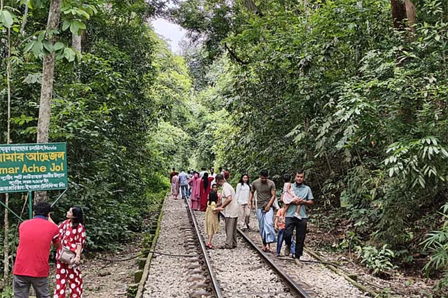 লাউয়াছড়ায় পর্যটকের ভিড়ে ‘বিঘ্নিত’ বন্য প্রাণীর জীবন