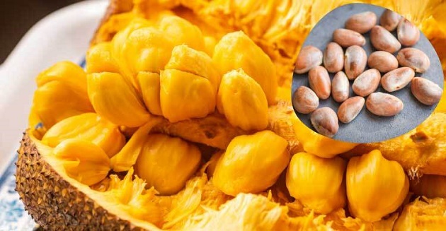 চুল পড়া ও মানসিক উদ্বেগ কমাবে কাঁঠালের বীজ