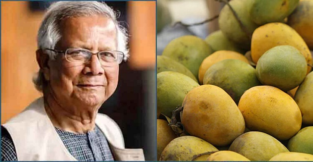 বিদেশি রাষ্ট্রপ্রধানদের আম উপহার পাঠাচ্ছেন প্রধান উপদেষ্টা