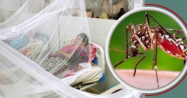 একদিনে আরও ৩ জনের প্রাণ গেল ডেঙ্গুতে, হাসপাতালে ভর্তি ৩৩১