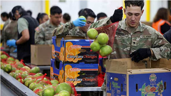 ট্রাম্প প্রশাসন আইনিভাবে খাদ্য সহায়তা স্থগিত করতে পারে না: বিচারক