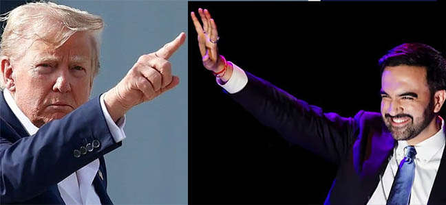 মামদানির কাজে কীভাবে ট্রাম্প বাগড়া দিতে পারেন