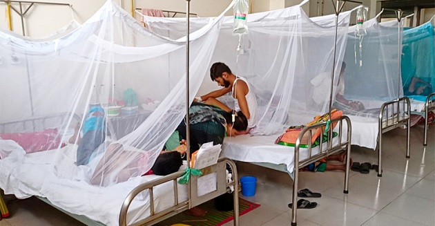 ডেঙ্গুতে ৩ জনের মৃত্যু, ভর্তি ৮৩৩