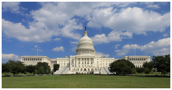 ক্যাপিটল ভবনের দিকে এগিয়ে আসা বন্দুকধারী তরুণ গ্রেপ্তার