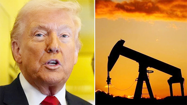 ট্রাম্পের ‘শিগগিরই যুদ্ধ শেষ হবে’ ঘোষণার পরই তেলের দাম কমল ৯ শতাংশ