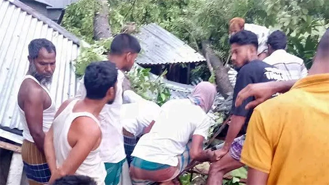 জামালপুরে ঘরের ওপর গাছ পড়ে মা ও দুই মেয়ের মৃত্যু