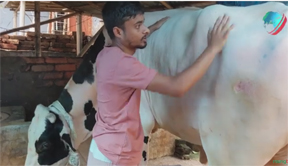 ‘বাংলার রাজার’