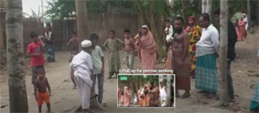 ‘গাছে কথা বলছে’