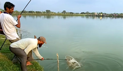চুয়াডাঙ্গায় ৪০ হাজার টাকার টিকিটে মাছ ধরা