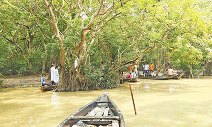 সিলেটেই বাংলার আমাজন