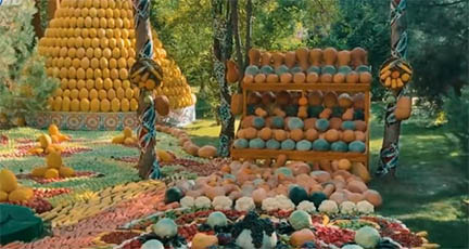 ফলের প্রাসাদে পুতিনের জন্য রাজকীয় অভ্যর্থনা