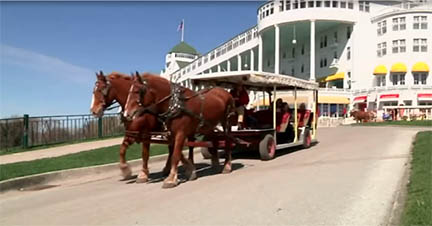 ৬০০ মানুষের সঙ্গী ৬০০ ঘোড়া